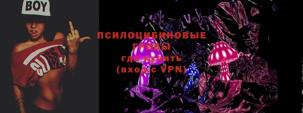 стафф Армянск