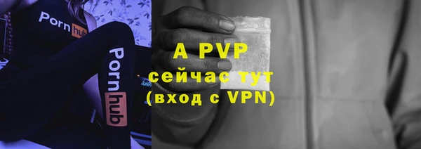 экстази Арсеньев