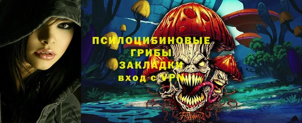 экстази Арсеньев