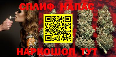ALPHA PVP Краснодар