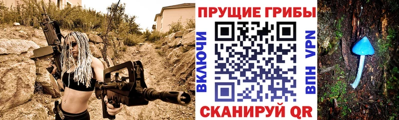 omg ТОР  Елабуга  Псилоцибиновые грибы ЛСД  где можно купить  