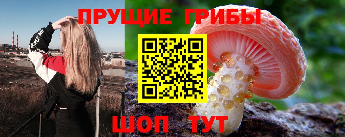 Псилоцибиновые грибы Magic Shrooms Елабуга